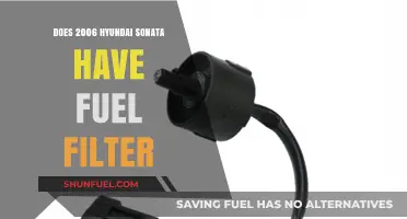 Fuel Filter on Hyundai Sonata: 2006 Edition
