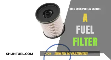 Fuel Filter Facts: 2006 Pontiac G6 Edition