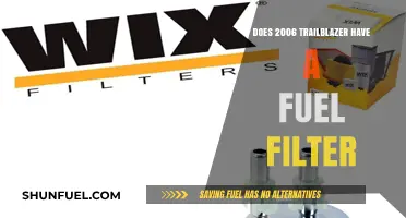Fuel Filter Facts for the 2006 Trailblazer