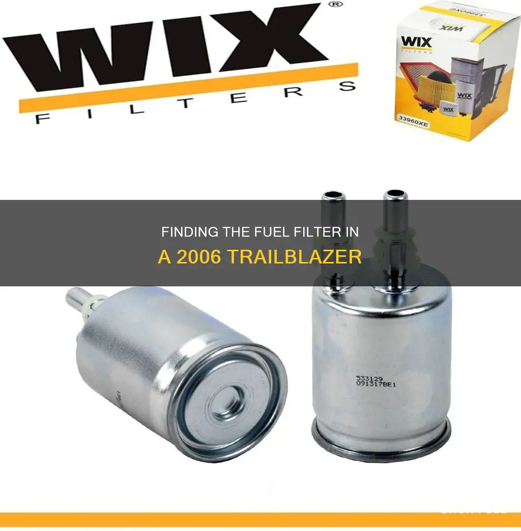 does 2006 trailblazer have side door fuel filter