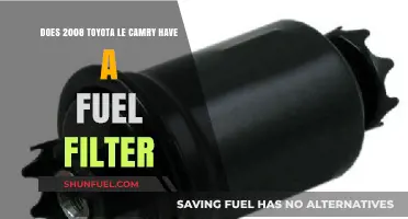 Fuel Filter in 2008 Toyota Camry LE: Yes or No?