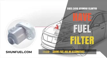 Hyundai Elantra: Fuel Filter Presence in 2010 Models