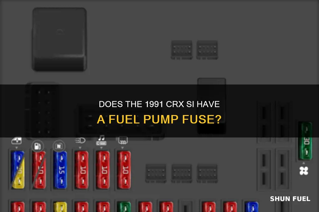 does 91 crx si have a fuel pump fuse