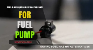 Accessing the Fuel Pump: Does the 2001 Sequoia Have a Panel?