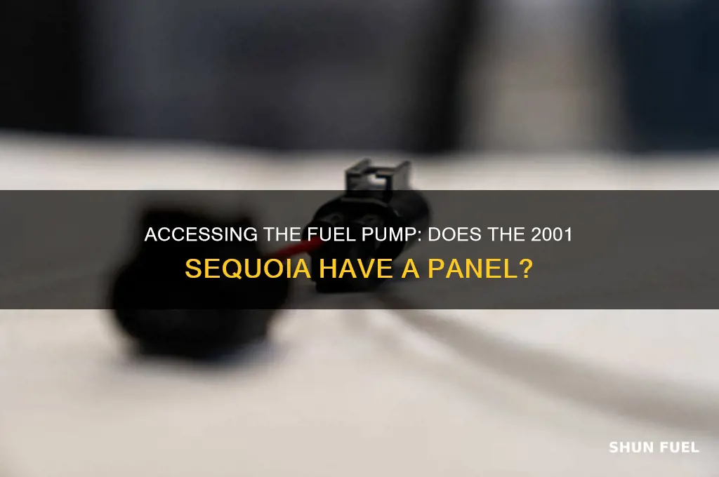 does a 01 sequolia have access panel for fuel pump