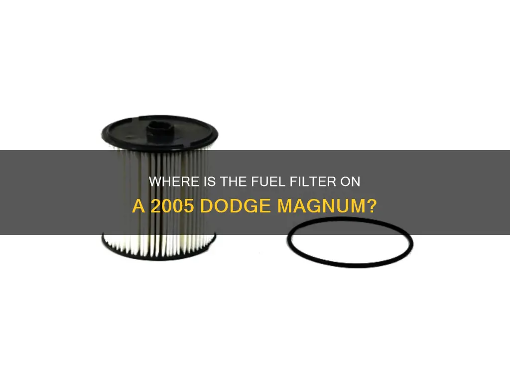 does a 05 dodge magnum have a fuel filter