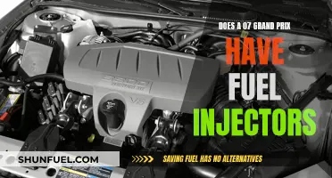 Fuel Injectors in 2007 Grand Prix: Yes or No?