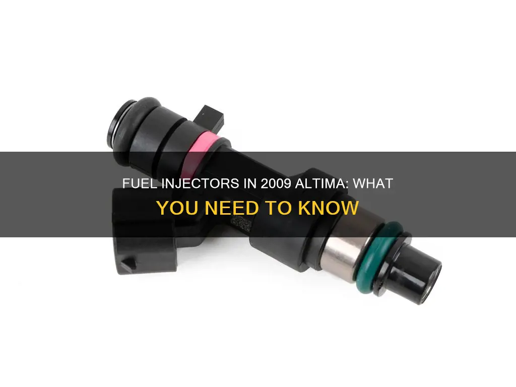 does a 09 altimia have fuel injectors