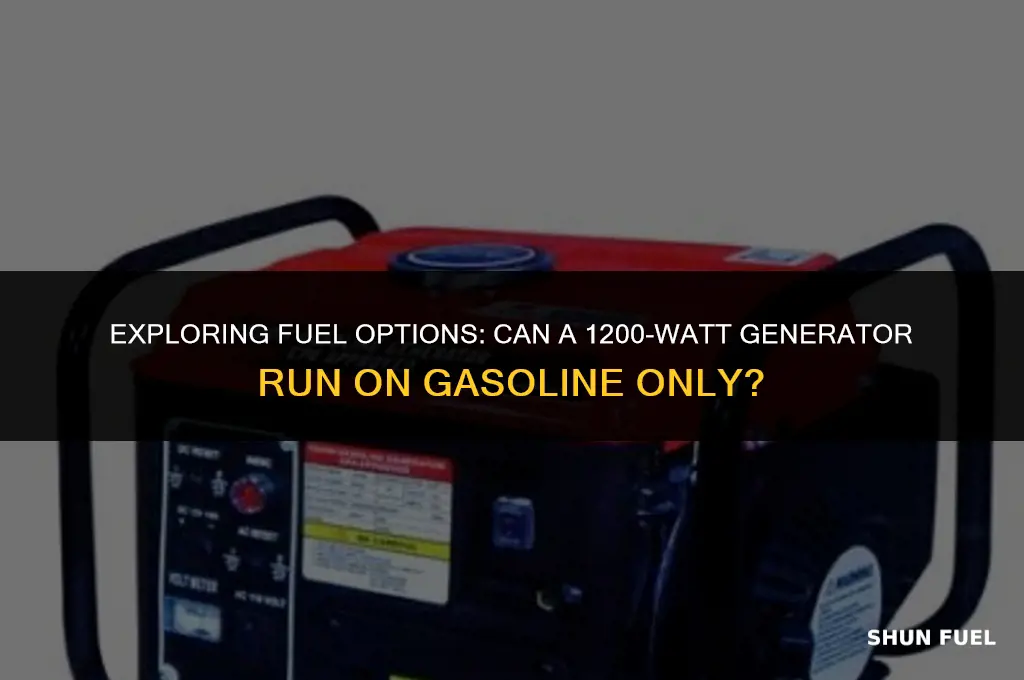 does a 1200 watts generator run on gasoline only