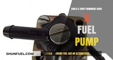 Does a 15HP Evinrude Outboard Motor Include a Fuel Pump?