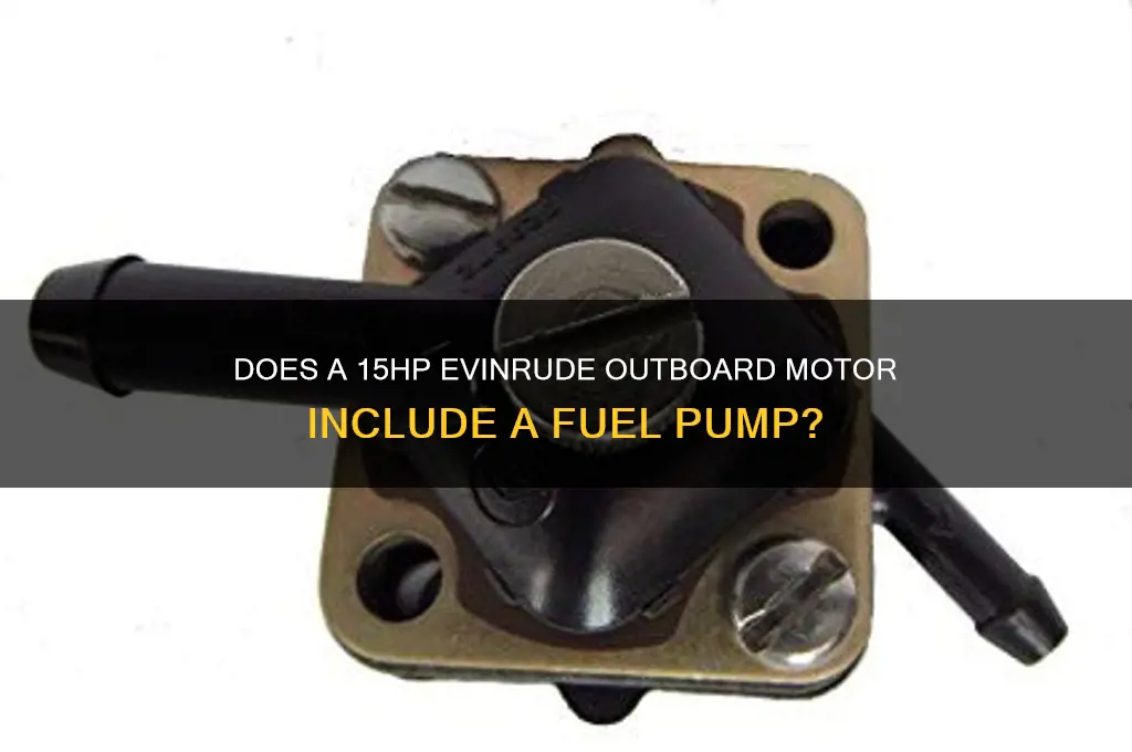 does a 15hp evinrude have a fuel pump