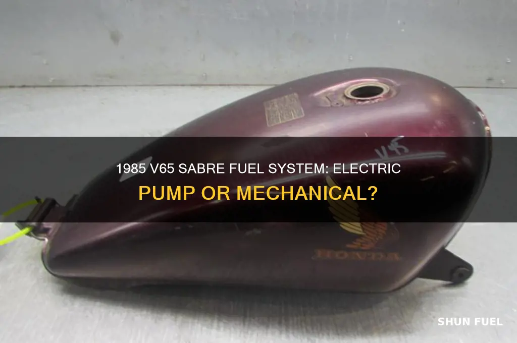 does a 1985 v65 sabre have electric fuel pump