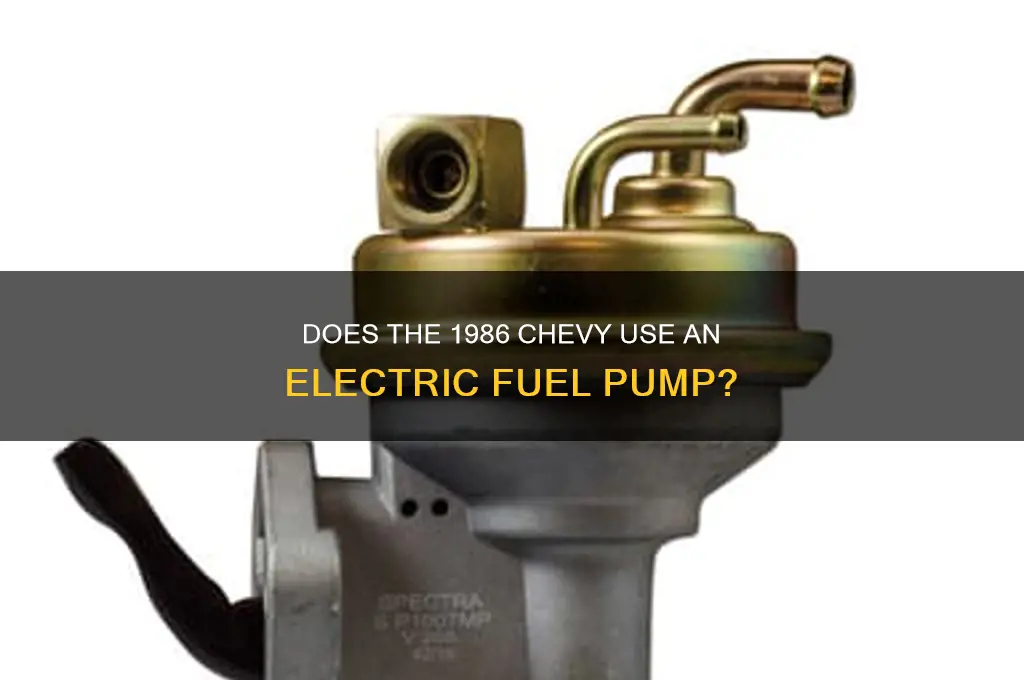 does a 1986 chevy have ba electric fuel pump