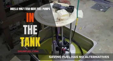 Fuel Pumps in 1987 F250 Tanks: How Many?
