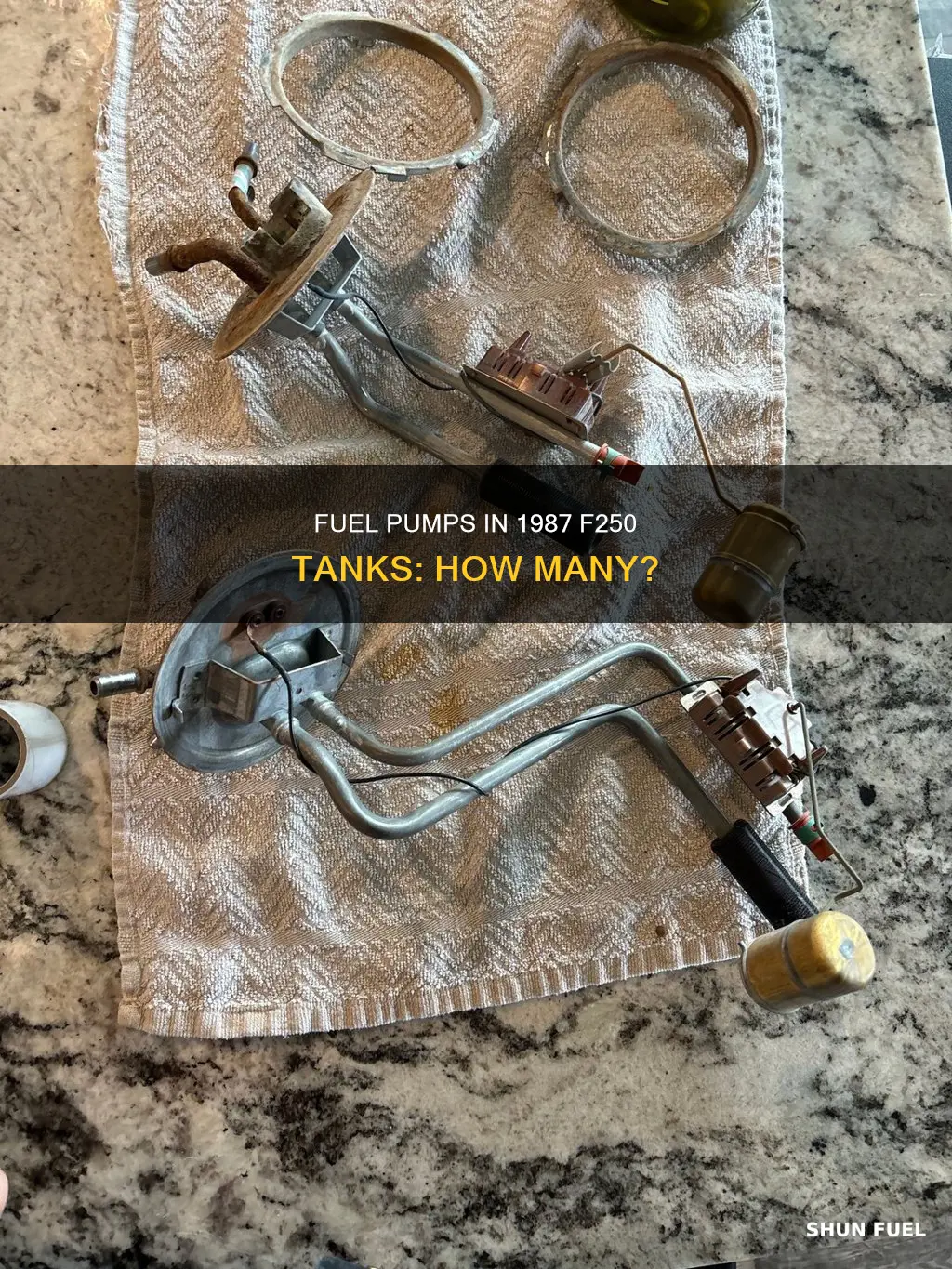 does a 1987 f250 have fuel pumps in the tank