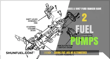 1987 Ford Ranger Fuel System: Dual Pumps or Single Pump Setup?
