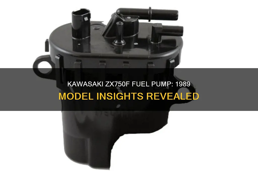 does a 1989 kawasaki zx750f have a fuel pump