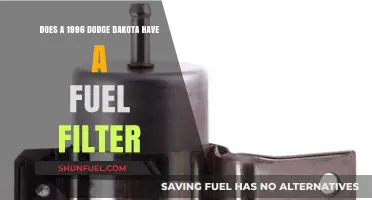 Fuel Filter Facts: 1996 Dodge Dakota