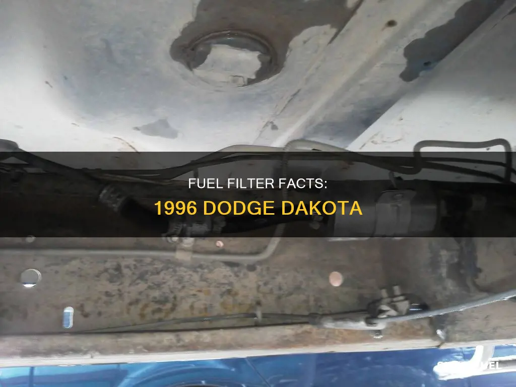 does a 1996 dodge dakota have a fuel filter