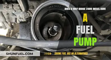 Fuel Pump in Older Dodge Trucks: Yes or No?