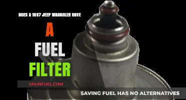 Fuel Filter on Jeep Wranglers: 1997 Models and Beyond