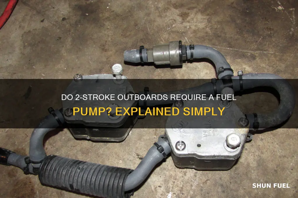 does a 2 stroke outboard have a fuel pump