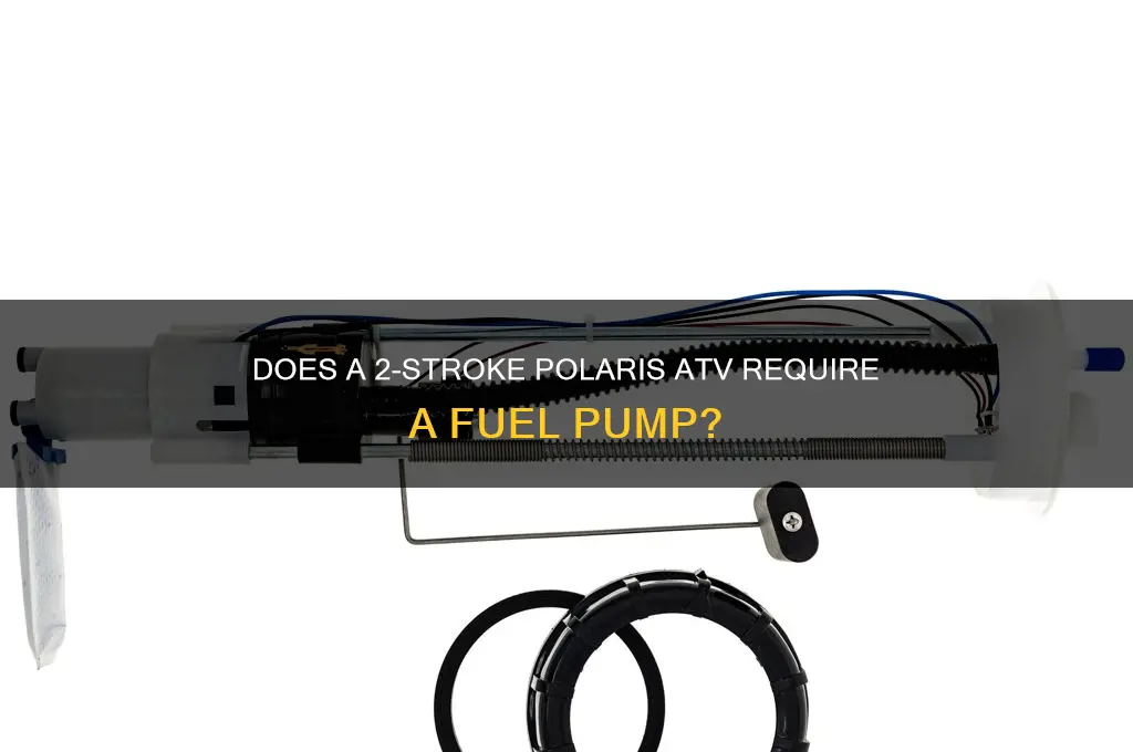 does a 2 stroke polaris have a fuel pump