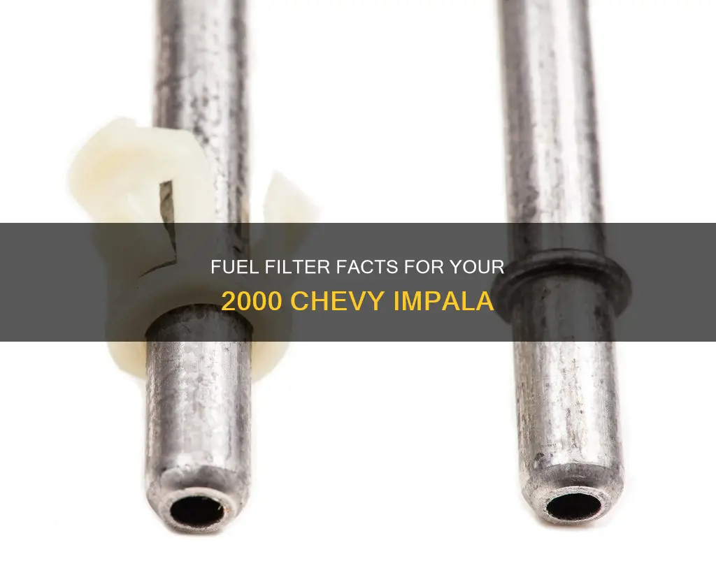 does a 2000 chevy impala have a fuel filter