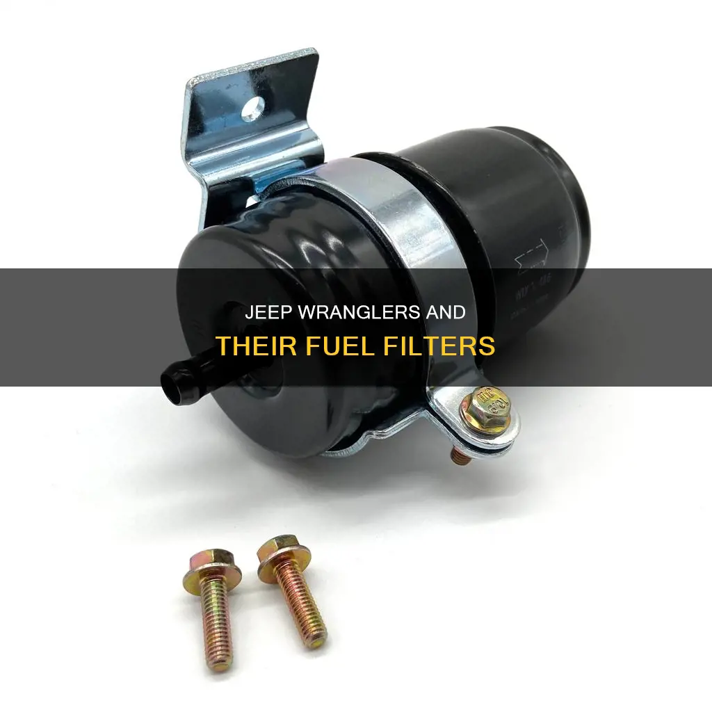 does a 2000 jeep wrangler have a fuel filter