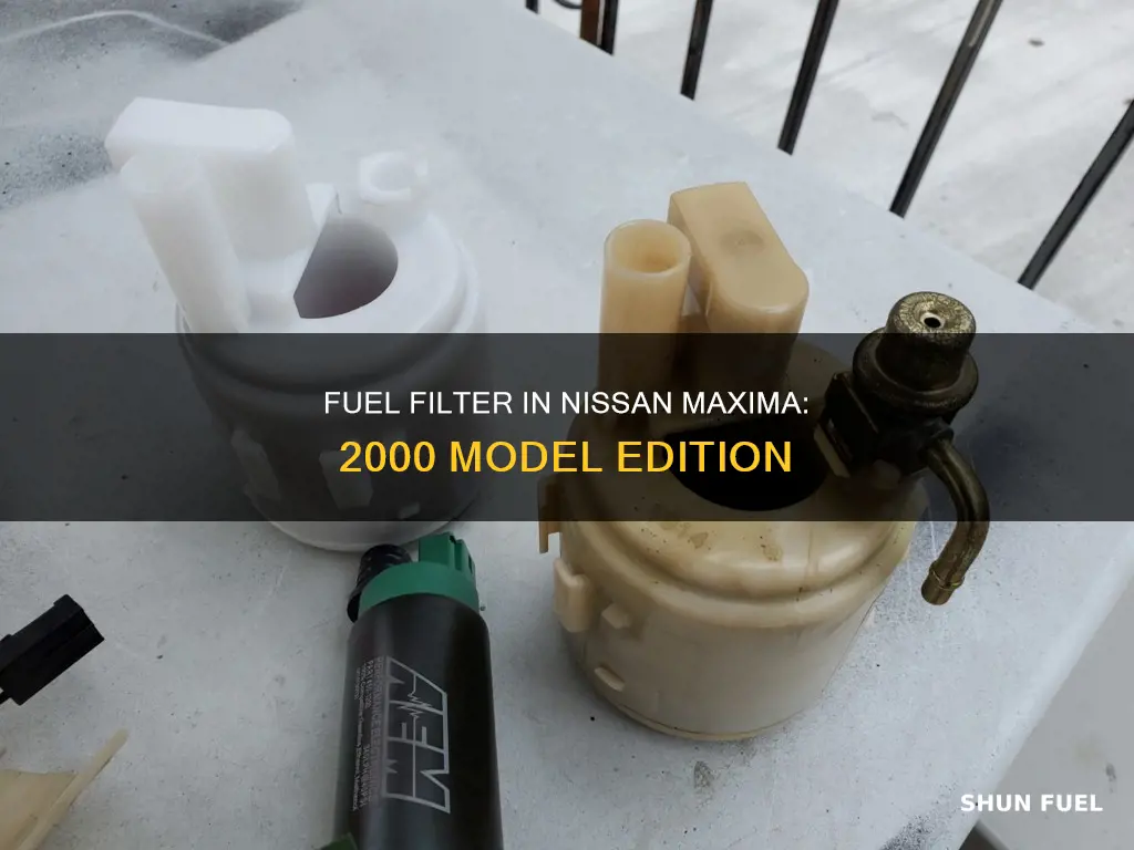 does a 2000 nissan maxima have a fuel filter