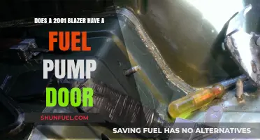 2001 Blazer Fuel Pump Access: Does It Have a Door?