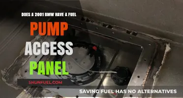 BMW 2001 Fuel Pump Access Panel: Does It Exist?