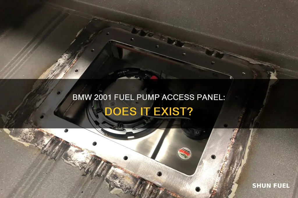 does a 2001 bmw have a fuel pump access panel
