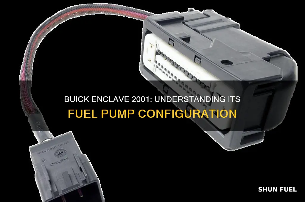 does a 2001 buick enclave have two fuel pumps
