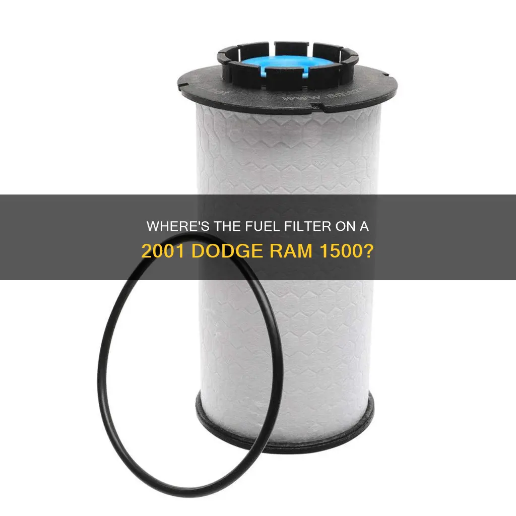 does a 2001 dodge ram 1500 have a fuel filter