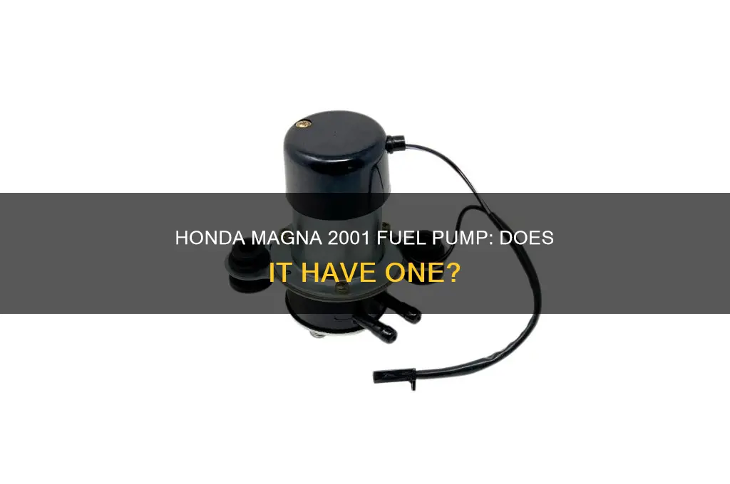 does a 2001 honda magna have a fuel pump