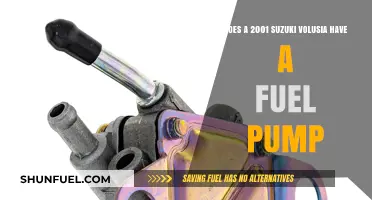 Suzuki Volusia 2001: Fuel Pump Presence and Functionality Explained