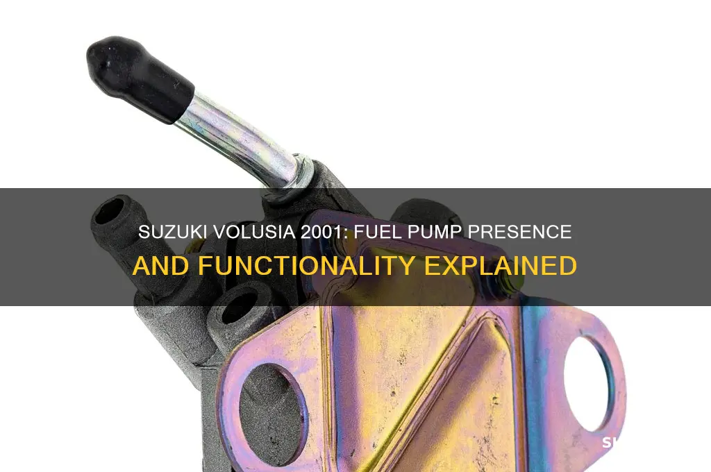 does a 2001 suzuki volusia have a fuel pump