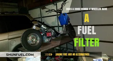Fuel Filter on a 2002 Honda 4-Wheeler: Yes or No?
