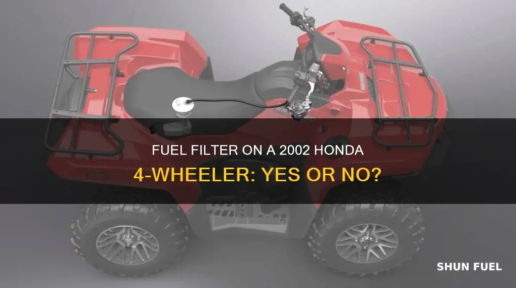 does a 2002 honda 4 wheeler have a fuel filter