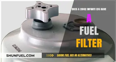 Fuel Filter in Infiniti I35: 2002 Model Essentials