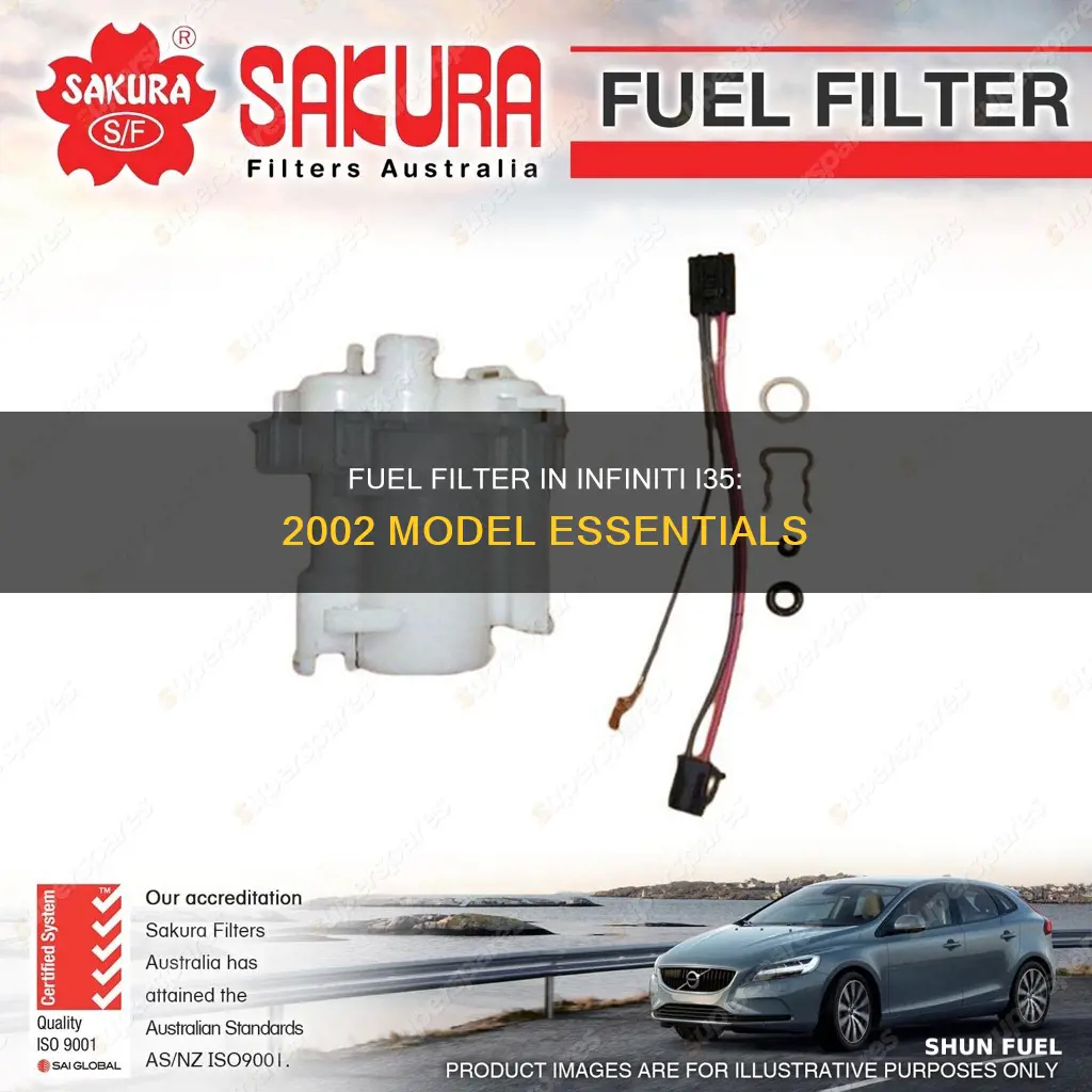 does a 2002 infiniti i35 have a fuel filter