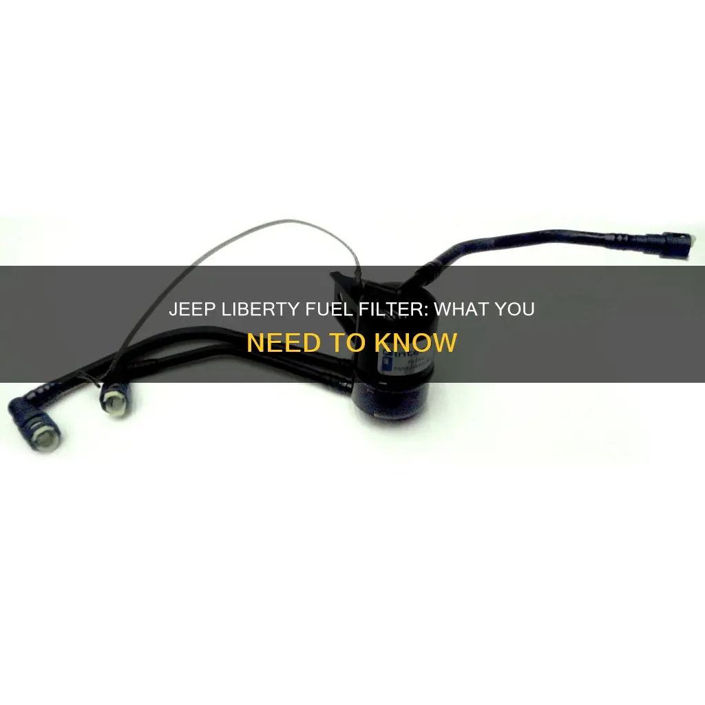 does a 2002 jeep liberty have a fuel filter