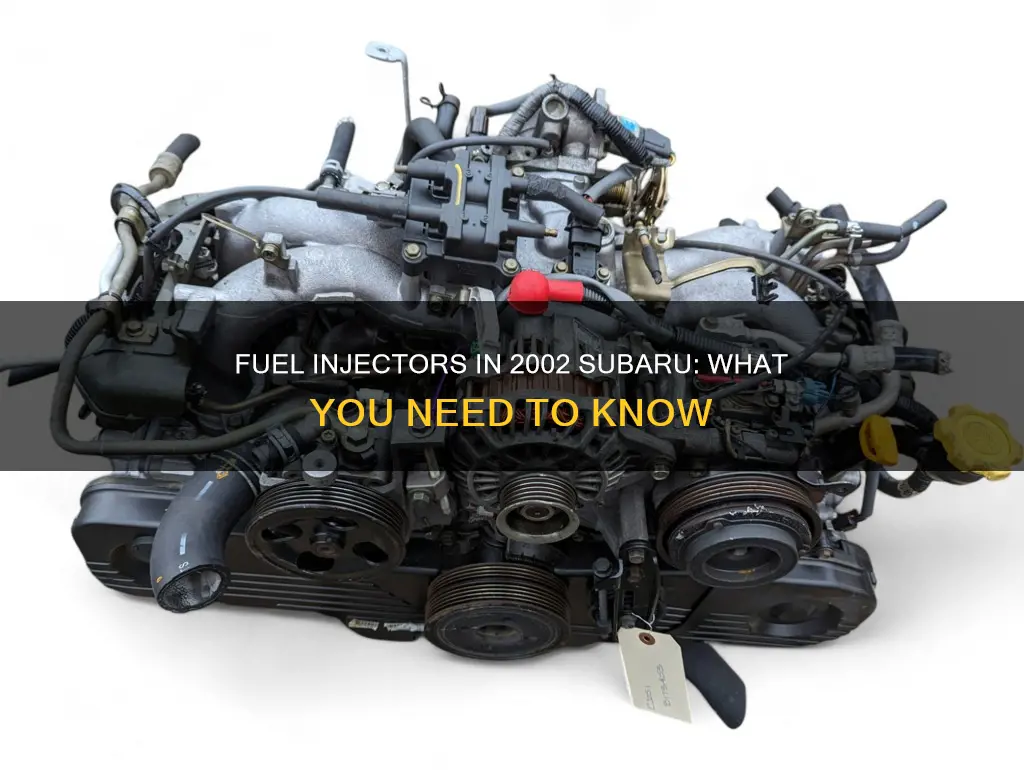 does a 2002 subaru have fuel injectors