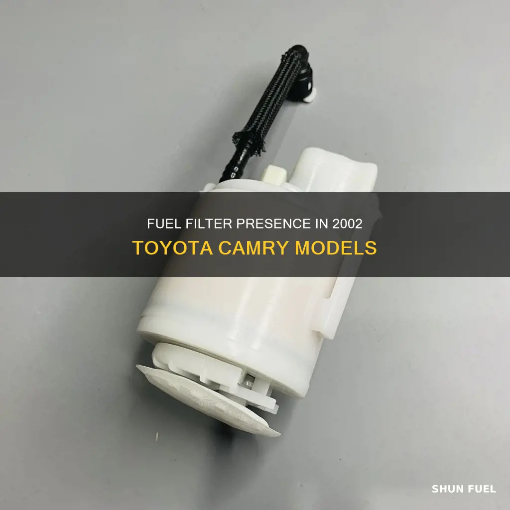 does a 2002 toyota camry have a fuel filter