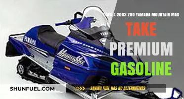 Fuel Up Your Adventure: Does the 2003 Yamaha Mountain Max Run on Premium Gasoline?