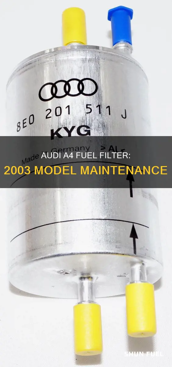does a 2003 audi a4 have a fuel filter