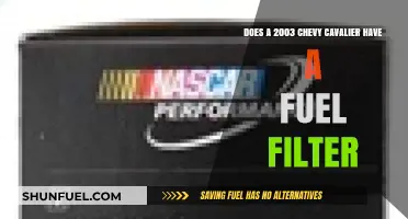Fuel Filter Presence in 2003 Chevy Cavaliers