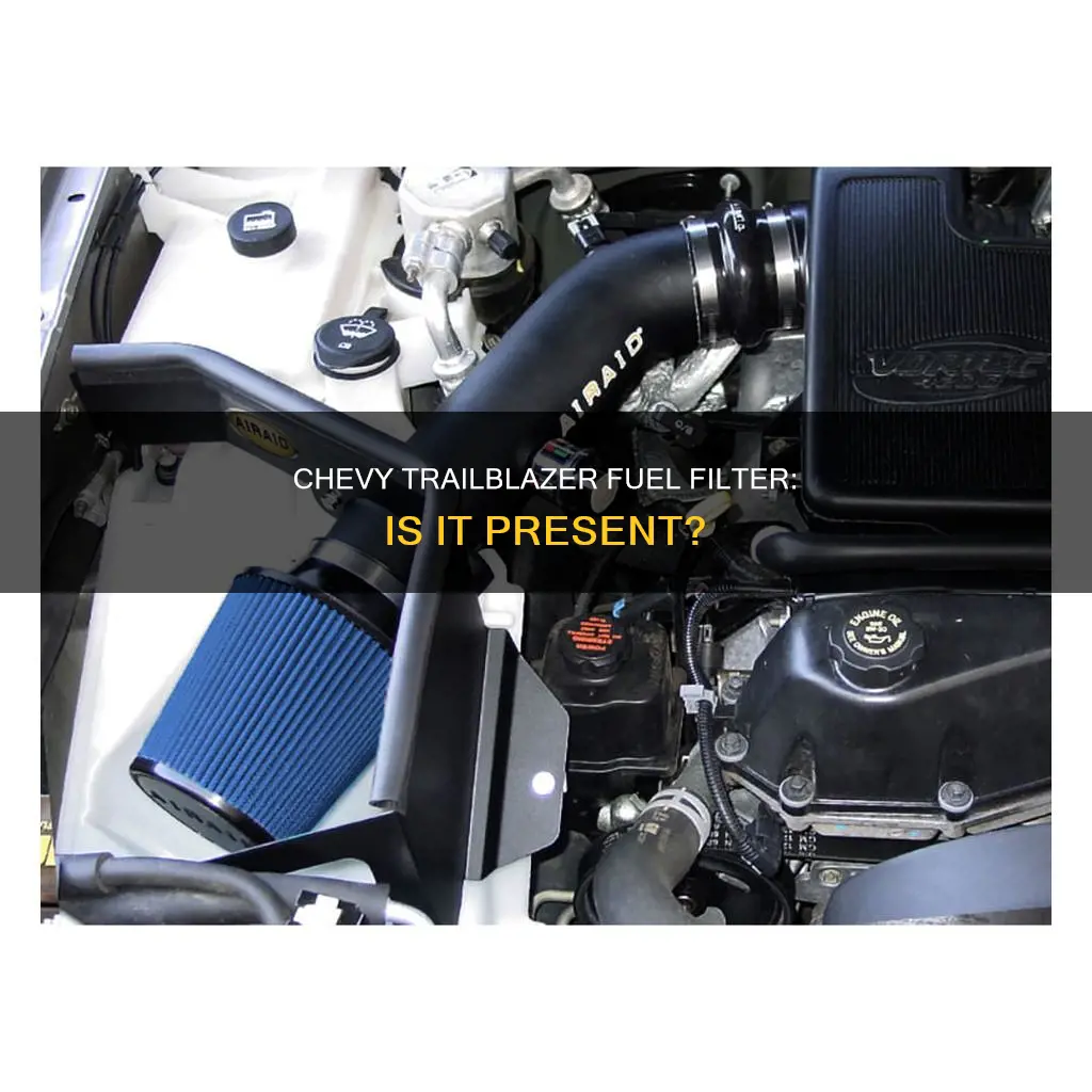 does a 2003 chevy trailblazer have a fuel filter