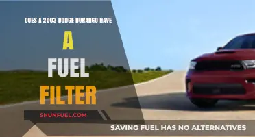 Fuel Filter Facts for 2003 Dodge Durango Owners